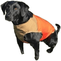 Cuga Dog Vest