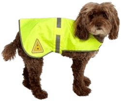 Chief Miller Apparel Utility Pro Dog Safety Vest