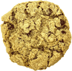 Chocolate Chip Oatmeal Cookie