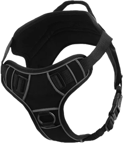 Quest Dog Harness With Do Not Pet, Service Dog Do Not Pet, And Custom