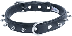 Angel Rotterdam Single-line Spiked Standard Dog Collar