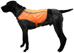 Dog Safety Vest