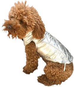 The Dog Squad Gallactica Quilted Dog Coat