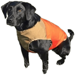 Cuga Adjustable Hunting Dog Protective Vest