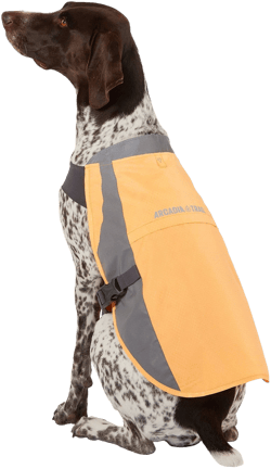 Arcadia Trail Dog Safety Vest