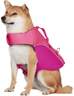 Blueberry Pet Essential Gear You & Fido Get Matchy Matchy! Reflective Dog Life Jacket
