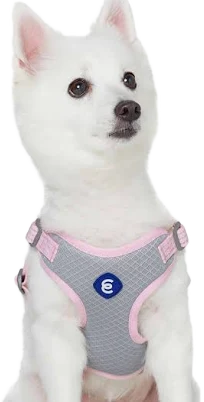 Better Basics Reflective Dog Harness Vest