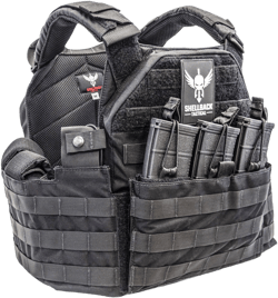 Shellback Tactical SF Plate Carrier