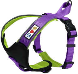 Pawtitas Reflective Padded Dog Harness