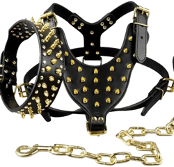 Berry Pet Black Leather Studded Dog Collar & Leash & Harness