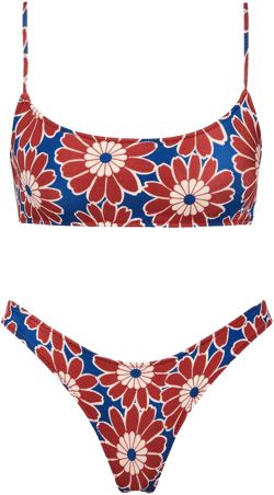 Triangl Mica Toco Floral Bikini Set Top