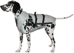 Suitical Dry Cooling Vest for Dogs