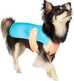 Frisco Summer UPF 45 Cooling Dog Vest