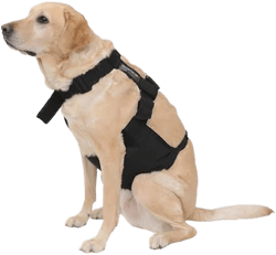 Chillydog K9 Dog Cooling Vest