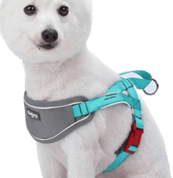 Blueberry Pet Blueberry Soft & Comfy 3M Reflective Strips Padded Dog Harness Vest