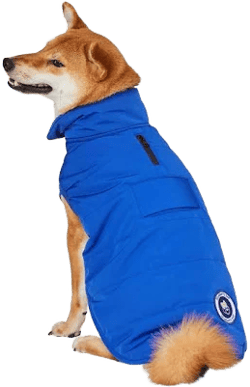 Blueberry Pet Waterproof Quilted Dog Puffer Jacket