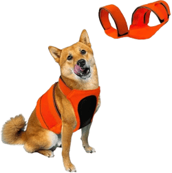 Kong Sport Trigger Dog Safety Vest