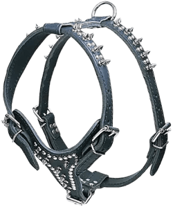 Latigo Leather Medium Harness, Spikes & Studs