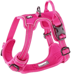 Chai's Choice Premium Outdoor Adventure Dog Harness