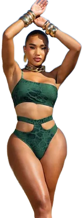 Jade Snake Basil High Waisted Bikini