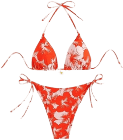 Women's Vintage Floral Printed Halter Tie Side Triangle Bikini Set