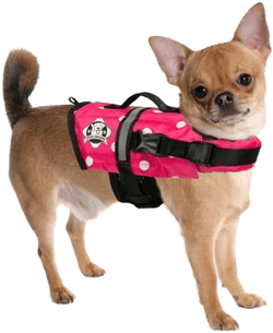 Paws Aboard Doggy Life Jacket