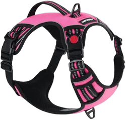 Rabbitgoo Adjustable Reflective Dog Harness