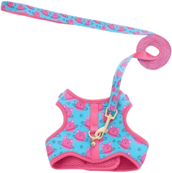 Whisker City Cat Centric Cat Harness and Leash Combo Set