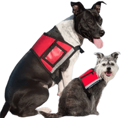 Official Service Dog Vest