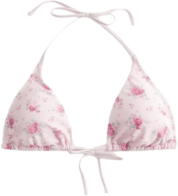 Hollister Women's Triangle Bikini Top