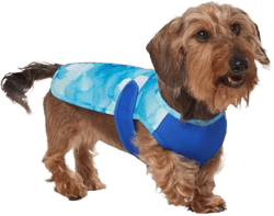 Frisco Watercolor UPF 45 Cooling Dog Vest