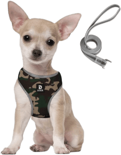 Puppy Harness and Leash Set - Dog Vest Harness for Small Dogs Medium Dogs- Adjustable Reflective Step in Harness for Dogs - Soft Mesh Comfort Fit No Pull No Choke (XS, Camouflage Green)