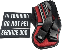 Reflective Service Dog In Training Vest Harness Leash Set