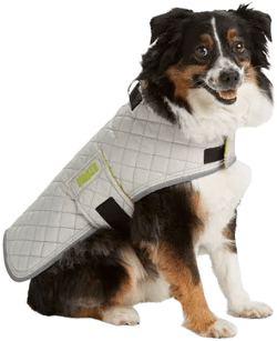 Puffer Dog Jacket