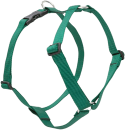 LupinePet Basics 1/2" Green 12-20" Adjustable Roman Dog Harness for Small Dogs Green 1/2"W; 12-20" Girth