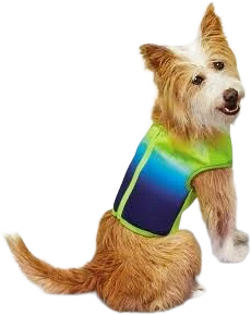 Sun Squad Cooling Dog Vest