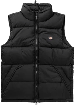 Dickies Men's Waldenburg Vest