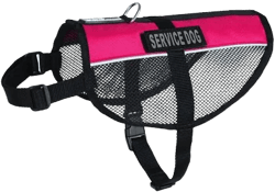Personalized Service Dog Vest