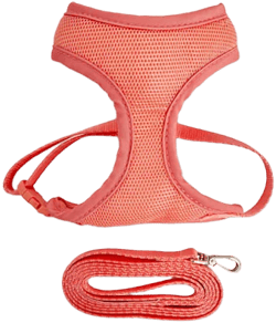 Youly Mesh Cat Harness & Leash Set