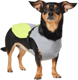 Frisco Reflective Dog Safety Vest