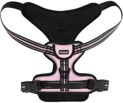 Frisco Padded Reflective Harness