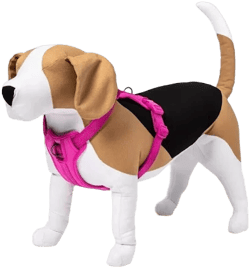 Boots & Barkley Reflective Comfort Dog Harness