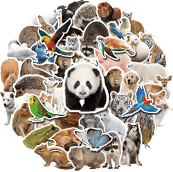 Sticker Set of 50 Large Decals Cute Mini Animal Stickers Zoo Sticker for Kids T01040376