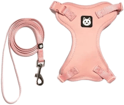 Vibrant Life Cat Harness & Leash Set