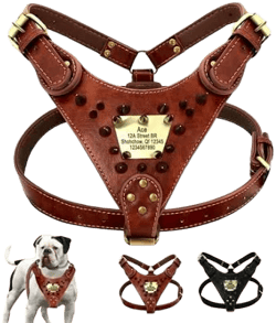 Didog Genuine Leather Dog Harness