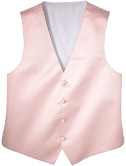 Suit Vest