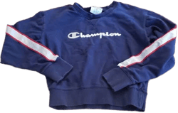 Champion Women's Sweatshirt