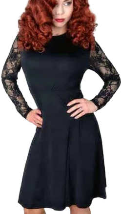 Flare Lace Sleeve Dress