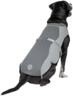 Canada Pooch Max Chill Cooling Dog Vest