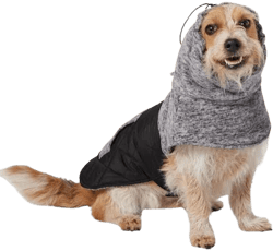 Frisco Medium Weight Quilted Dog Coat